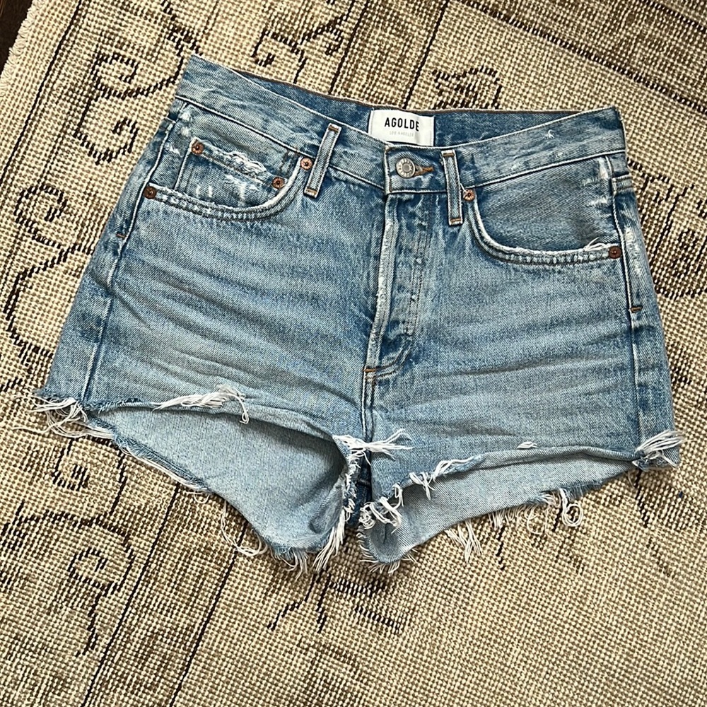AGOLDE Parker Shorts (Size 24)